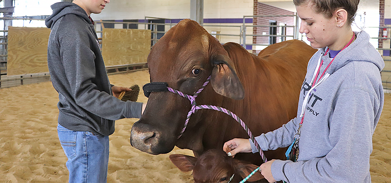 Ag students  
